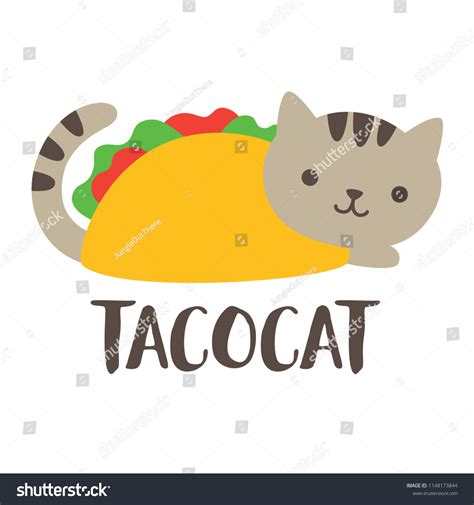 Cute Funny Taco Cat Vector Illustration Stock Vector (Royalty Free) 1148173844 | Shutterstock