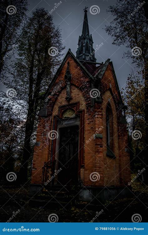 Foggy Graveyard at Night. Old Spooky Cemetery in Moonlight through the Trees Stock Photo - Image ...