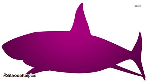 Shark Clipart Silhouette Picture @ Silhouette.pics