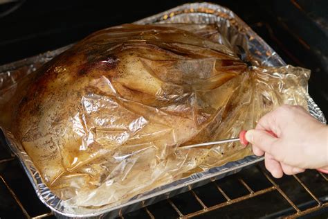 How To Roast a Turkey in an Oven Bag | Kitchn