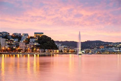 Wellington Attractions | Wellington, New Zealand