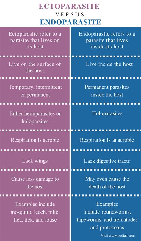 Difference Between Ectoparasite and Endoparasite | Definition, Features, Examples, Similarities ...