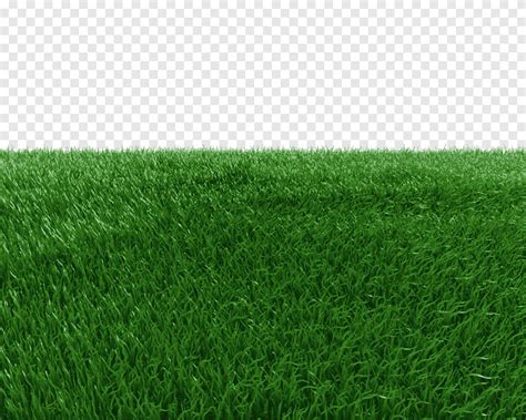 Free download | Graphy of green grass, Artificial turf Green Meadow ...