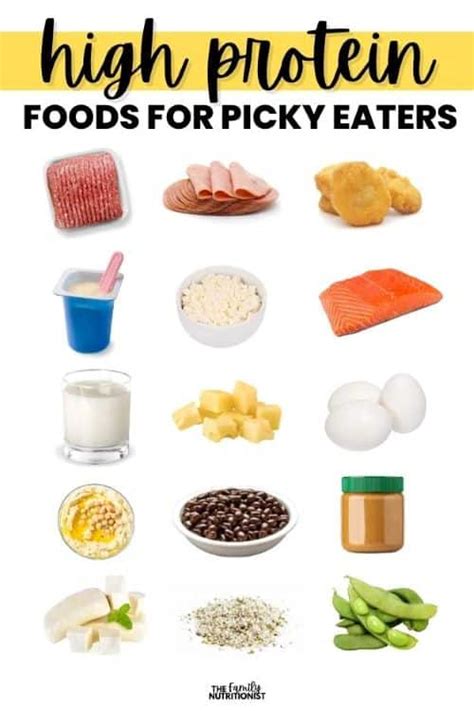 High Protein Foods for Picky Eaters - The Family Nutritionist