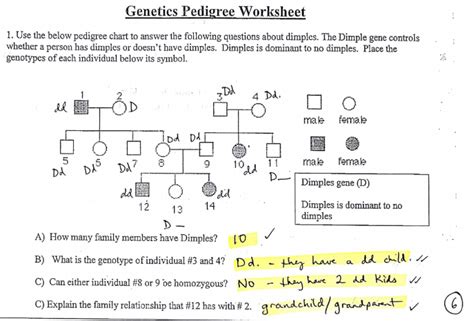 Genetics Pedigree Worksheet Dimples Answer Key