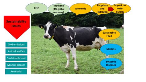 CHALLENGES & STRATEGIES FOR THE SUSTAINABLE DAIRY FARMING IN INDIA