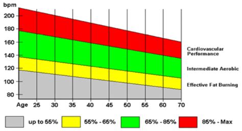 The Myth of the Fat Burning Zone