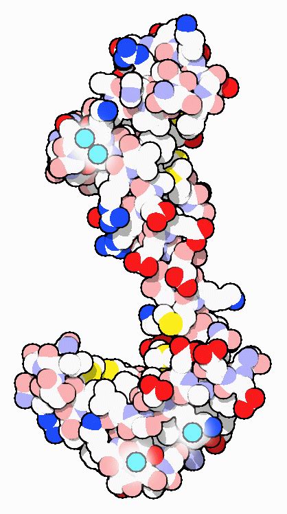 PDB-101: Molecule of the Month: Calmodulin