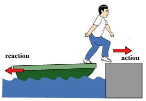 20 Examples of Law of Inertia In Everyday Life - PraxiLabs (2023)