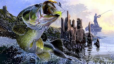 FISH OUT OF WATER, BASS, FISH, EXCITMENT, WATER, HD wallpaper | Peakpx