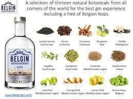 Image result for gin botanicals | Gin recipes, Gin tasting, Food ...