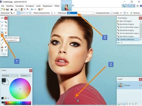 Come sostituire un colore in una foto con Paint.NET. | IdpCeIn