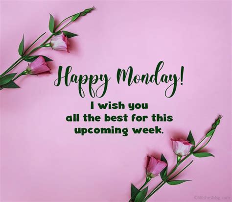 80+ Happy Monday Wishes, Messages and Quotes - WishesMsg