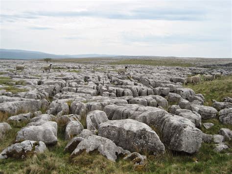 A limestone pavement | Natural landmarks, Landmarks, Pavement