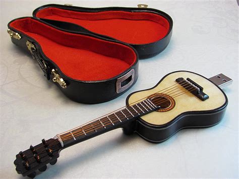 Guitar USB Flash Drive with Carrying Case | Gadgetsin