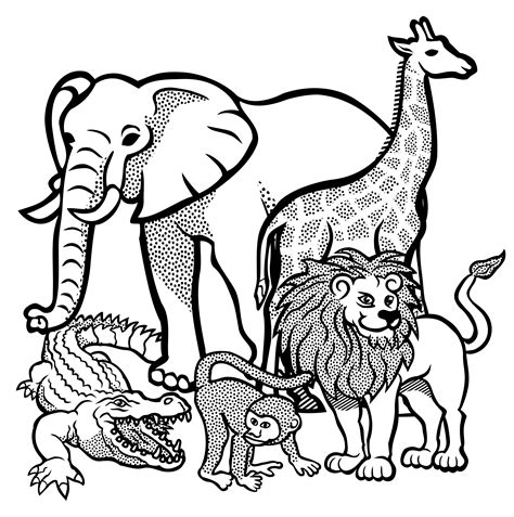 african animals - lineart | Zoo animal coloring pages, Animal coloring pages, Coloring pictures ...