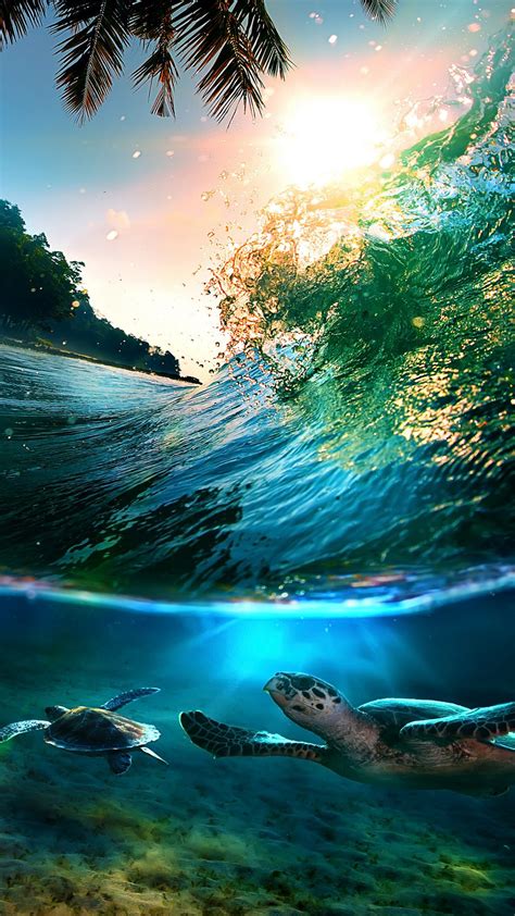 Tropical Waves Screensavers And Wallpaper (55+ images)