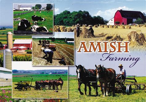 Thomas Willerich: Amish Farming