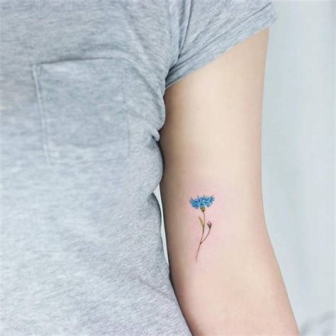 Cornflower tattoo on the inner arm. | Dainty tattoos, Tattoo designs ...