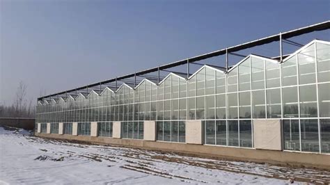 Greenhouse Glass types | MORN GLASS-Best architectural glass supplier