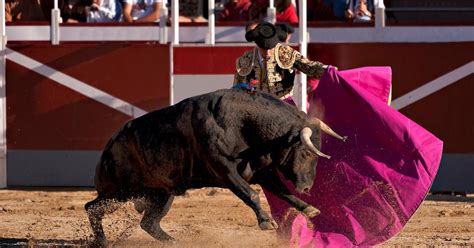 Bullfighting Ethics: Why Are Fights Still Allowed?