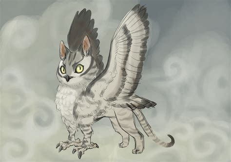 owl cat by shases on DeviantArt