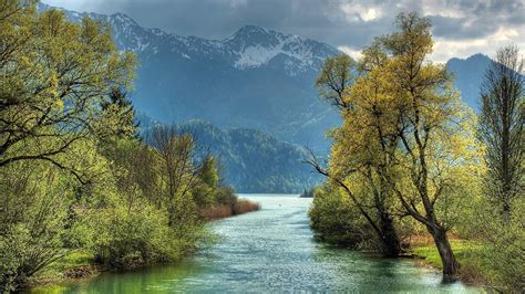 alberi sul lato del fiume hd sfondo del desktop : A grande schermo : ad ...