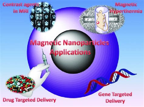 1 Biomedical applications of magnetic nanoparticles | Download Scientific Diagram