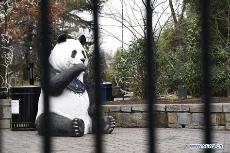 Americans outraged as National Zoo's panda cam goes dark amid gov't shutdown_熊猫新闻_熊猫频道