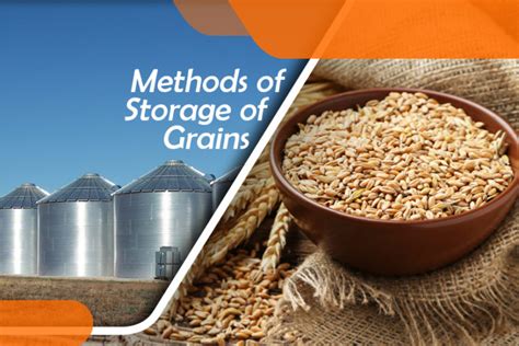 Methods of Grains Storage - Nextech Solutions