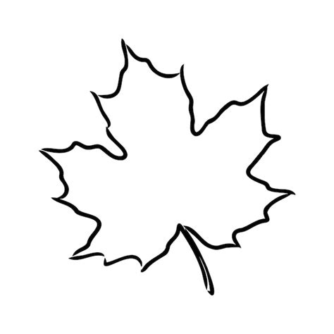 Fall Leaves Black And White Vector Art, Icons, and Graphics for - Clip Art Library