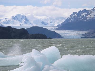 Los Ecosistemas: Imagenes del ECosistema Polar