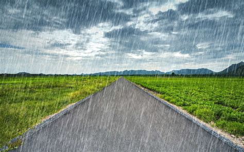 Les causes des pluies acides | Paysage pluie, Pluie, Fond ecran paysage