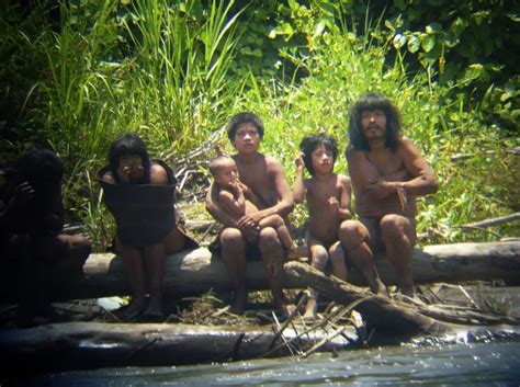 The primitive life of tribes in the Amazon forest