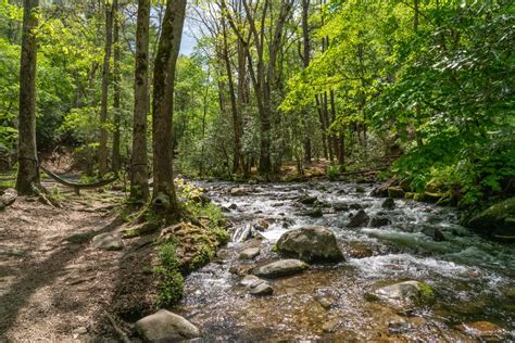 Hiking in Gatlinburg - A Guide To The Best 23 Trails In The Smokies