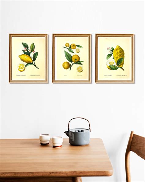 Lemon Prints Set of 3 Citrus Prints Lemon Wall Art Vintage | Etsy