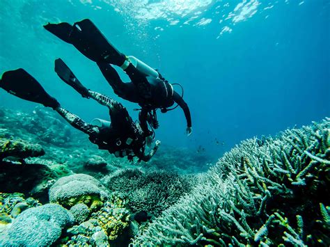 Dive and release the pressure on Nusa Penida Bali