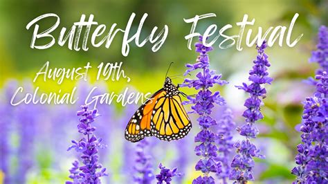 Butterfly Festival 2023 • Main Line Parent