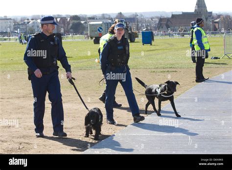 Metropolitan police dogs hi-res stock photography and images - Alamy