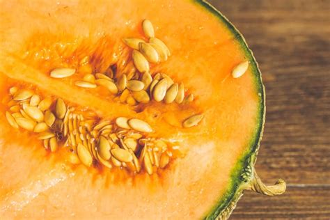 7 Sweetest Cantaloupe Varieties to Grow (& How to Get Seeds) – Bountiful Gardener