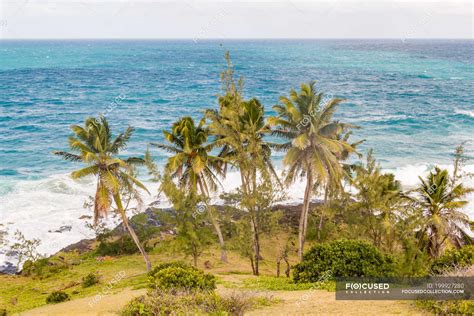 Madagascar, Aerial view of Indian Ocean and shore — weed, nature ...