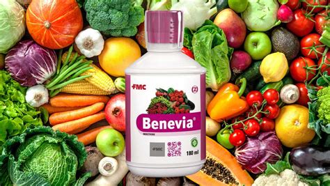 Benevia® Insecticide: Protecting Your Crops and Enhancing Yields ...