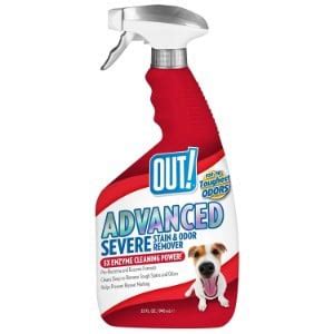 The 25 Best Cat Urine Odor Removers of 2020 - Pet Life Today