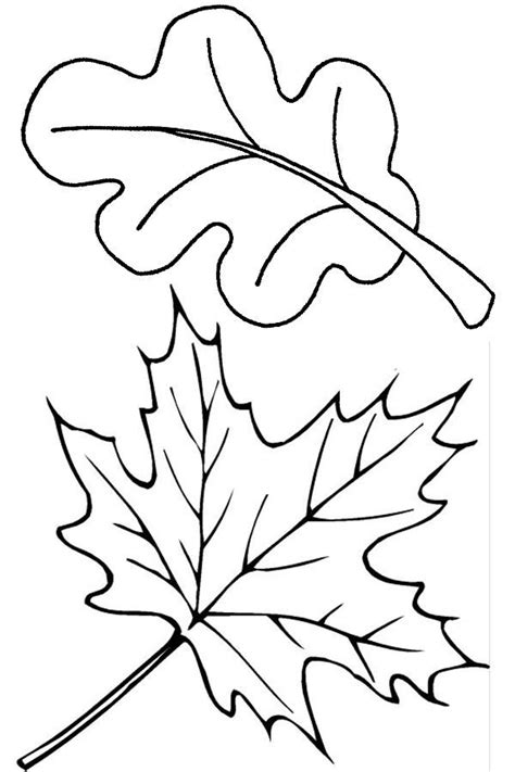 Free Traceable Leaf Patterns, Download Free Traceable Leaf Patterns png ...