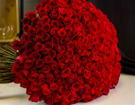300 Red Roses Hand-crafted Bouquet | Red rose bouquet, Roses bouquet gift, Red roses
