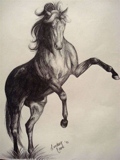 .:Pencil-Rearing Horse:. by PeaBlueJr on DeviantArt