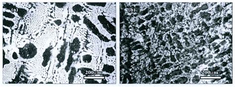 Effect of vibration on Microstructure of white cast iron – ZHY Casting