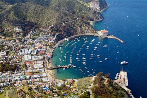 Photograph Avalon Aerial - Catalina Island by Ben North on 500px