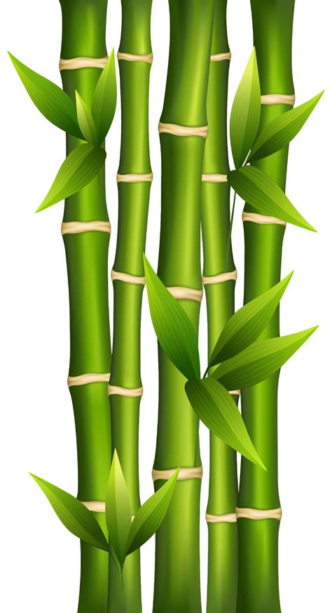 Bamboo clipart 2 | تابلو in 2019 | Bamboo art, Bamboo drawing, Bamboo | Bamboo drawing, Bamboo ...