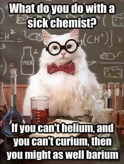 Chemistry cat | Chemistry cat, Nerdy jokes, Nerd jokes